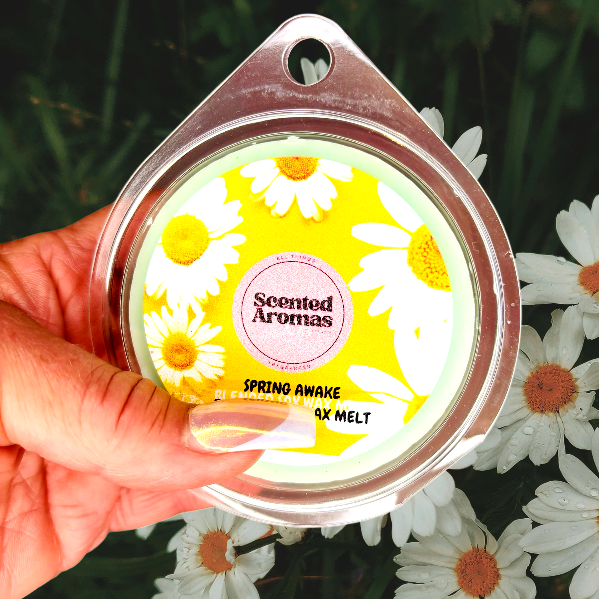 A hand holding a "The Soap Gal x" wax melt labeled "Spring Awakening Wax Melt 85g" featuring a floral design, set against a backdrop of white daisies. This delightful soy wax blend encapsulates the essence of springtime renewal.