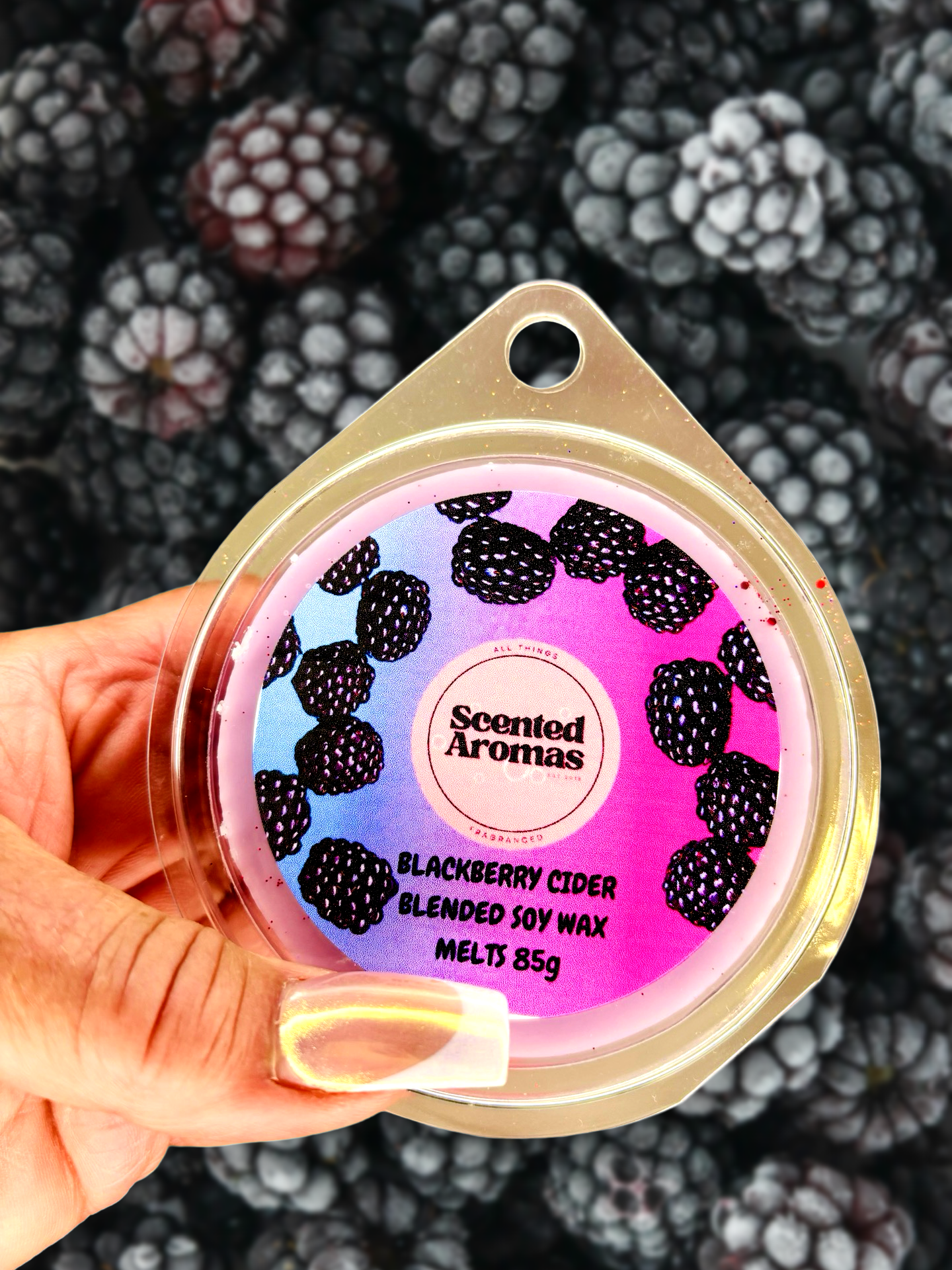 A hand holds a round container labeled "The Soap Gal x, Blackberry Cider Wax Melt 85g." This eco-friendly melt promises a long-lasting fragrance over a backdrop adorned with lush blackberries.