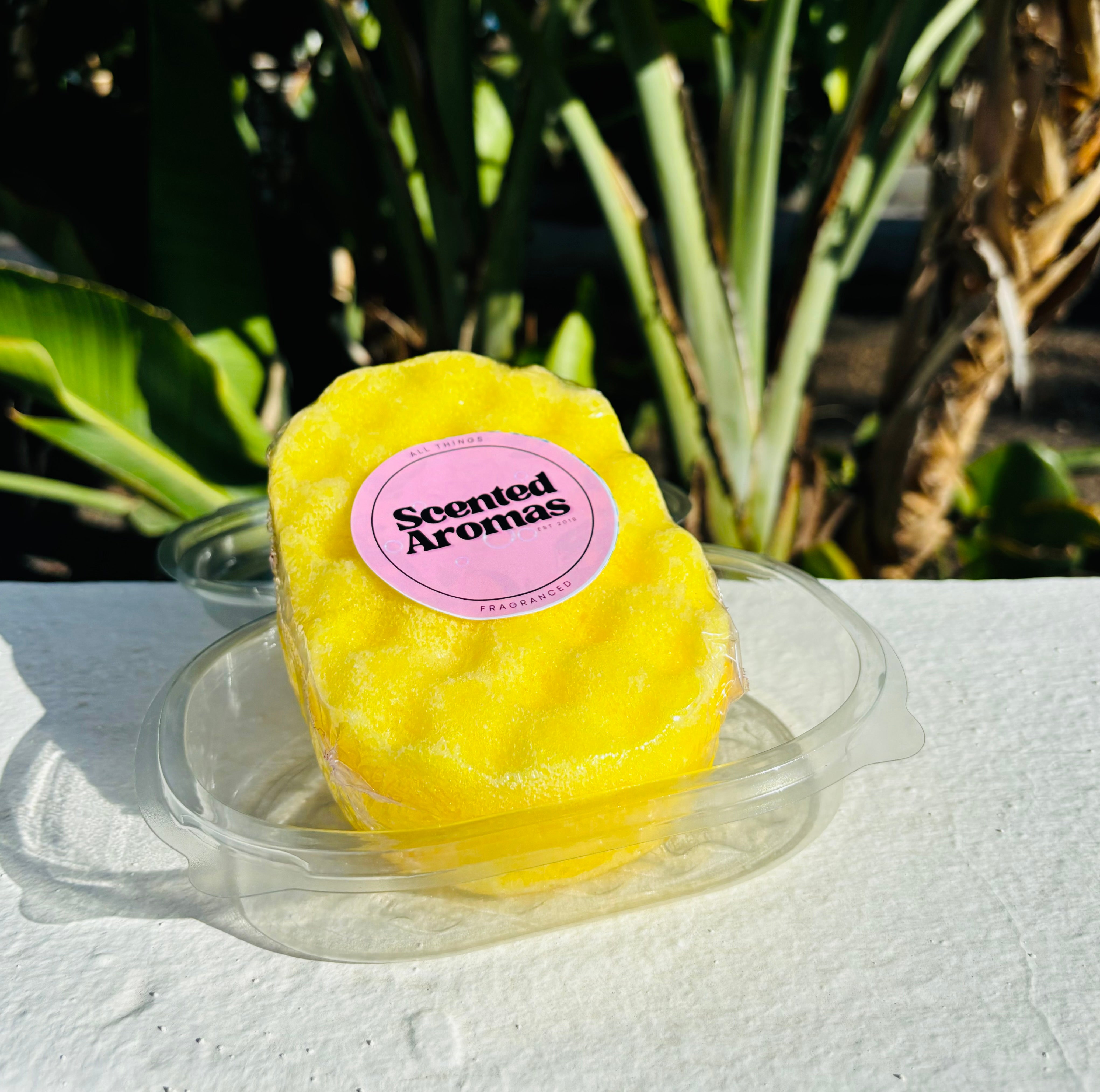 A vibrant yellow Citronella Soap Sponge from The Soap Gals, known as the "Natural Insect Repellent," is displayed in a clear plastic container against a backdrop of lush green plants, providing natural mosquito protection with its citronella oil infusion.