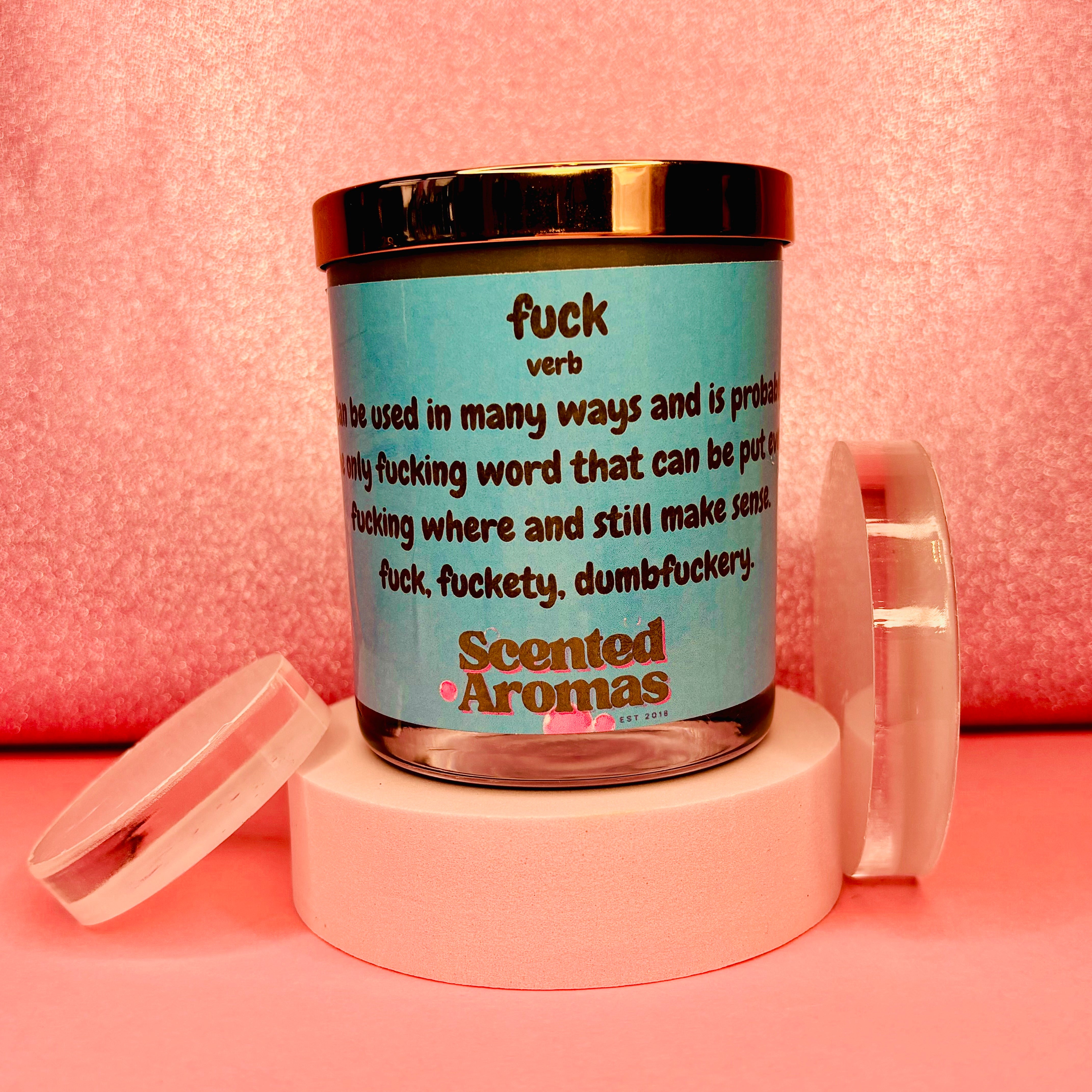 A 200g soy wax candle from The Soap Gal x, featuring a funny quote with the definition and various uses of a profane word on a humorous label, set against a pink background.