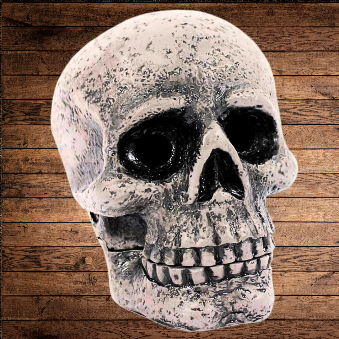 The Soap Gal x Skull Incense Cone Burner is a realistic white incense holder made from high-quality resin, showcasing dark eye sockets and visible teeth against a wooden backdrop.